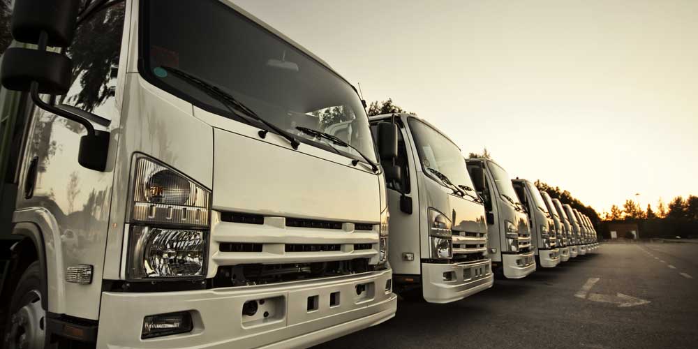 trucks parked beside eachother